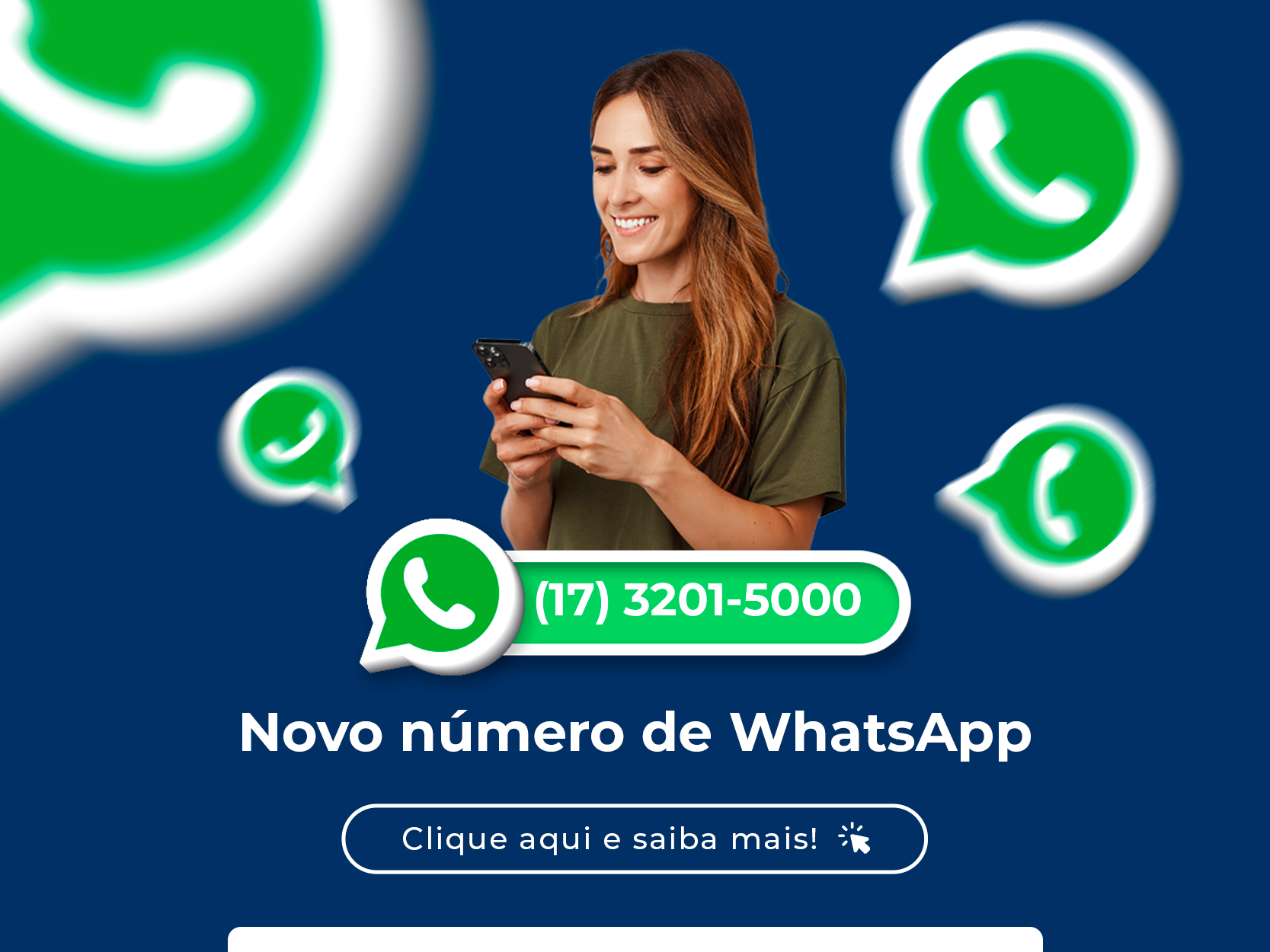 Novo WhatsApp Funfarme
